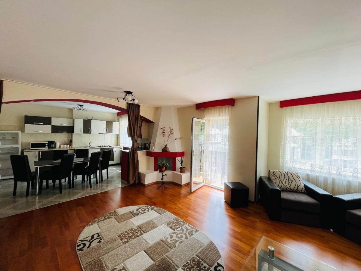 Apartament Extralarge Szászbuda Kültér fotó